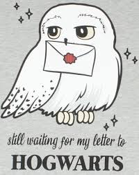 Harry Potter Hedwig Hogwarts Girls Grey Marl Cotton Night Dress Pyjama Opa Opticad Com ✓ free for commercial use ✓ high quality images. harry potter hedwig hogwarts girls grey