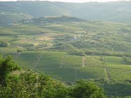It's like the trivia that plays before the movie starts at the theater, but waaaaaaay longer. Croatia Quiz Fun Free General Knowledge Earth Science Quiz For Kids Online
