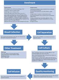 Immunotherapy Of Patient With Hepatocellular Carcinoma Using