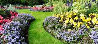 They also appear in other related business categories including general contractors, masonry contractors, and building contractors. Landscaping Landscape Service Landscapes Venice Fl