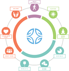 While centenarians of the blue zones areas have won the genetic lottery, it is their lifestyle that truly impacts their life expectancy. What Is Health Part 2 Yogawalla