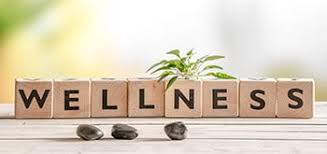 Counseling | Triton College