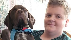 Fundraiser by Joe Feger : Help Logan Beat Cancer And Feger Family