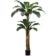 Bird Of Paradise Palm Plant Care Two 5 Foot Artificial Silk Bird Of Paradise Palm Tree Potted Plant Bush Trees To Plant Artificial Tree Banana Palm