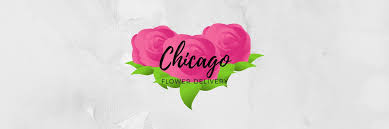 Order christmas flowers, mix flower bouquets, carnations, flowers for new year etc. The 18 Best Options For Flower Delivery In Chicago 2021