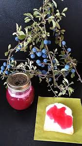 Gieblis Schlehengelee Aus Frischen Schlehen Gelee Schlehenmarmelade Marmelade Rezept