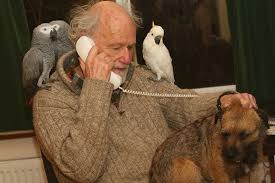 Once you know what sound all letters make it becomes much easier to spell names like bird. My Parrot Has Changed Dealing With A Hormonal Parrot