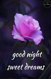 You can simply copy good night messages also from below if you dont wish to download good night pictures or if your internet is slow. 500 Good Night Images Download Beautiful Good Night Hd Image