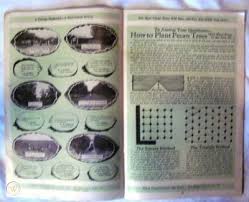Maybe you would like to learn more about one of these? 1929 Bass Pecan Co Nurseries Catalog Lumberton Mississippi Fruit Trees 237498069