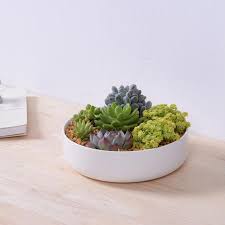 These adorable corgi planter pots are perfect for herbs, succulents, small flowers, and whatever else you can think of! Bonsai Ceramic Flower Pot Diy Small Planter Succulent Plants Potted Desk Decor White Glazed Ceramic Ceramic Succulent Pots Ceramic Flower Pots Diy Flower Pots