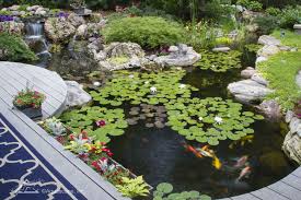 Koi grow quickly and get very large. Koi Ponds And Water Gardens Water Features By Aquascape