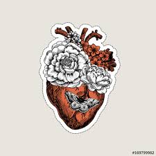 Triangle connected dots glow point red. Anatomical Heart Illustration Png Download Illustration 2020