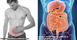 Pin On Stomach Info Herbal Home Remedies