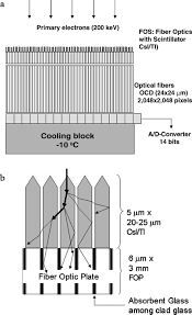 A charged coupled device (ccd) detector is mounted at a focus of a reflecting telescope. A Schematic Diagram Showing An Integrated Ccd Detector The Fibre Download Scientific Diagram