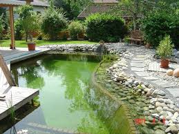 Pin Von Jindra Hanoldova Auf Aiaideed Naturschwimmbecken Schwimmteich Wasserspiel Garten