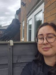 Jackdaw is the late sunshine!