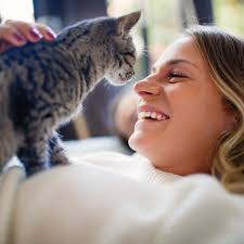 Can Cats Sense Pregnancy Before You Know 2025