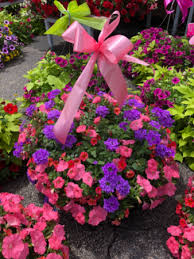 Hanging baskets with full of beautiful flowers definitely provide a special. Outdoor Hanging Basket Blooming Patio Plant In Youngstown Oh Blooming Crazy Flowers And Gifts