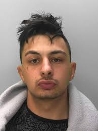 Cops left with fractured skulls and gouged eyes after being battered