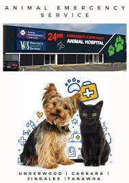 Gilbertson sally m dvm parking map at parkwhiz. Pin On Veterinary Clinic Gold Coast