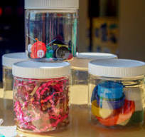 Plastic Storage Jars - Set of 4