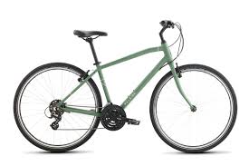 (a bicycle seat in the specific sense also supports the back.) Raleigh Bikes Detour 1 Sm 15 Sports Outdoors Cycling