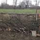 Hedgelaying Weekend for Beginners: 2-day course event image