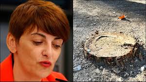 Reclaman información "exhaustiva, clara y concisa" de los efectos de  'Herminia' en el Parque Abelardo Sánchez de Albacete