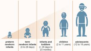 Human Growth And Development Theories Human Growth And Development Physical Development Toddler Development