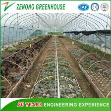Growing organic vegetables in the greenhouse. China Economical Poly Tunnel Greenhouse For Garden Planting Vegetables Fruits China Vegetable Greenhouse Garden House