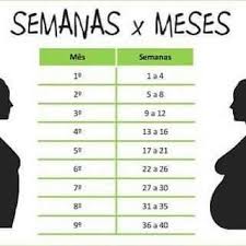 Idade Gestacional Calculadora De Gravidez Semanas Em Meses Pin De Carmen Em Humor 15 Semanas De Gravidez Meses De Gravidez Gravidez