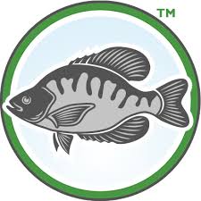 You can also buy a fishing license in person from a designated fishing license dealer like an outdoor sporting goods store or tackle shop Official Tennessee Fishing And Hunting Licenses Go Outdoors Tennessee