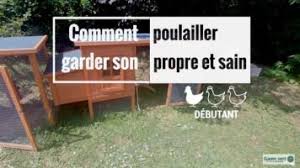 10 Aliments Interdits Aux Poules Gamm Vert En 2020 Poulailler Poule Abreuvoir Poule
