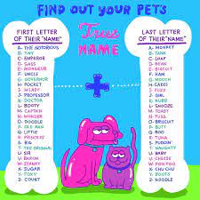 What Is Your Pet S True Name Cute Animal Names Pets Cute Animal Memes