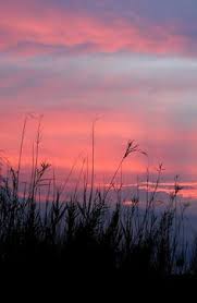 Gratis untuk penggunaan komersial atribusi tidak diperlukan gambar berkualitas tinggi. 7 Ide Sunset Pemandangan Latar Belakang Fotografi Pantai