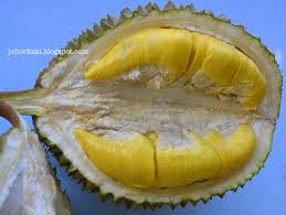 Mantap makan durian musang king di penang malaysia. 5 Tips On How To Spot A Mao Shan Wang Msw Musang King Durian çŒ«å±±çŽ‹ Johor Kaki Travels For Food