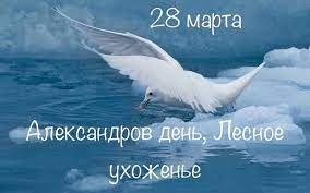 Час земли — это ежегодная экологическая кампания, которая привлекает внимание к последствиям изменения климата. 28 Marta Aleksandrov Den Novosti Luganskoj Narodnoj Respubliki