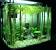 Natural Fish Tank Decorations
