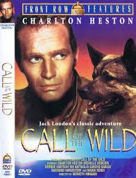 Call of the Wild : Movies & TV