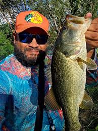 Bar rayé Bas-saint-laurent