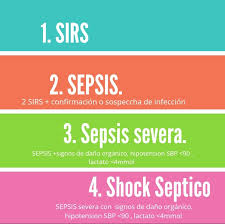 Isso pode levar a insuficiência. Shock Septico