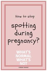 We did not find results for: Pin On Pregnancy