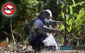 Hutan lipur ini dahulunya dikenali sebagai hutan simpan bukit weld dan merupakan hutan simpan yang tertua di semenanjung malaysia. Bernama Lindungi Hutan Untuk Imbangi Ekosistem Dan Alam Semulajadi