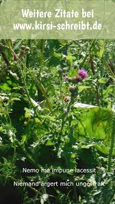 Nemo Me Impune Lacessit Naturzitate Sinnspruche Zitate