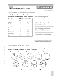 You can refer to this for a better understanding of the concept. Chapter 10 Section 1 Meiosis Fill And Sign Printable Template Online Us Legal Forms