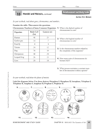 This worksheet is intended to reinforce concepts related to meiosis and sexual reproduction. Chapter 10 Section 1 Meiosis Worksheet Answer Key Fill Online Printable Fillable Blank Pdffiller