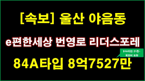 속보] e편한세상 번영로 리더스포레 입주자모집공고 + 울산 아파트 - YouTube