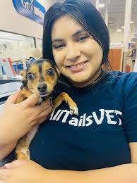 Contact Our Johnson City Veterinarians at All Tails Vet