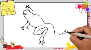 Frosch Zeichnen 5 Schritt Fur Schritt Fur Anfanger Kinder Zeichnen Lernen Youtube