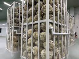 CẤP ĐÔNG BẰNG NITƠ LỎNG